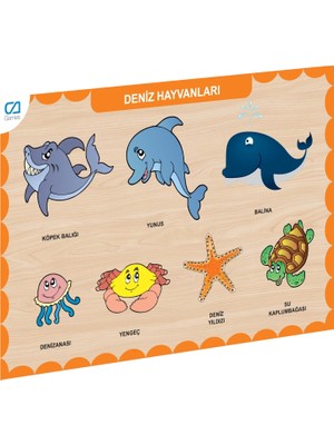 Zenvia Mey Ithalat® CAAHS-3212 Ahşap Deniz Hayvanları Bul-Tak