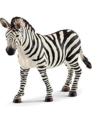 Zenvia Mey Ithalat® Dişi Zebra
