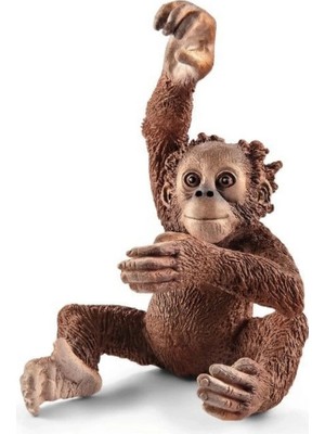 Zenvia Mey Ithalat® Yavru Orangutan