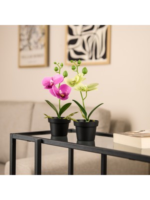 Kpm Saksılı Yapay Orkide - Asorti - 13X10X25 cm