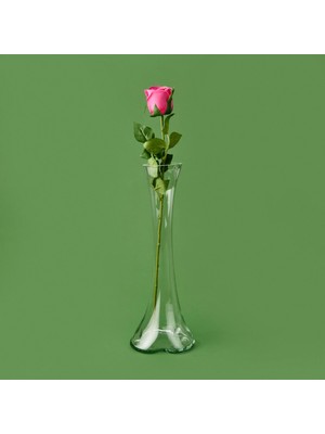 Matmel Time Islak Gül Dalı - Asorti - 50 cm