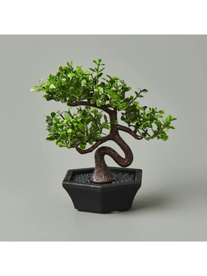 Matmel Dekor Mini Yapay Bonsai - Asorti - 10X13 cm