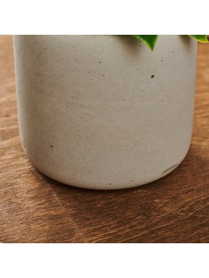 Matmel Beton Saksıda Doğal Görünümlü Bitki