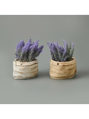 Matmel Çuval Saksıda Kır Lavantası - Asorti - 13X9X9 cm