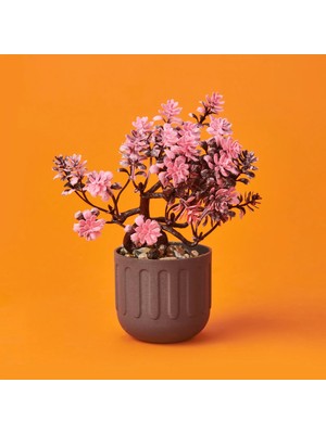 Matmel Dekor Yapay Bonsai - Asorti - 12X17 cm