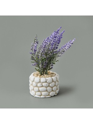 Matmel Mini Saksıda Lavanta - Asorti - 10X5X5 cm