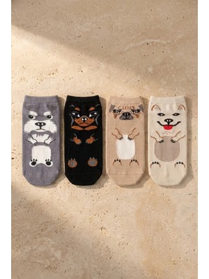 Bony Socks 4'lü Paket Hayvan Desenli Çocuk Step Çorap Çok Renkli