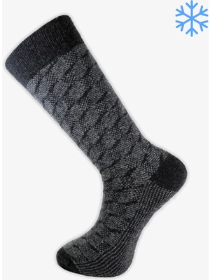 Pro Izlanda Lamswool Kışlık Soket Rahat Erkek 12'li Çorap