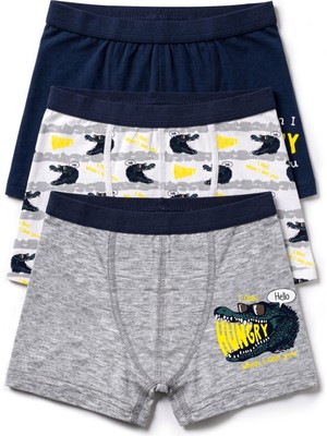 Öts Erkek Çocuk 3’lü Pamuklu Boxer Baskılı Ergonomik Tasarım (7702-3)