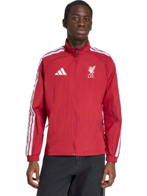 adidas Lfc H Anth