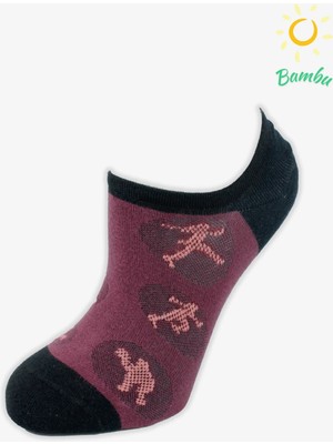 Pro Aries Bamboo Sneaker Yazlık Pamuklu Rahat Kadın Çorabı 12'li