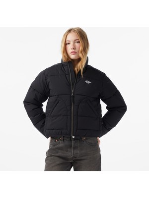 Dickies Summerdale Puffer Kadın Siyah Ceket