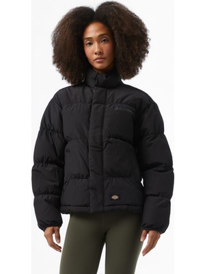 Dickies Scobey Puffer Kadın Siyah Ceket