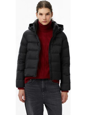 Tommy Hilfiger Down Casual Kadın Siyah Puffer Mont