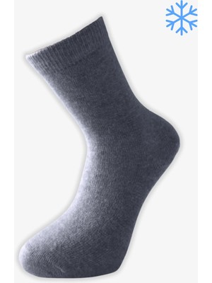 Pro Gerbera Lamswool Kışlık Soket Rahat Kadın 12'li Çorap