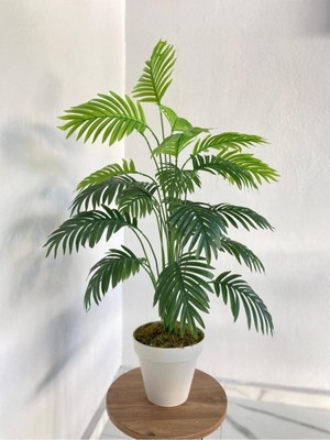 Empressco Yapay 18 Dallı Areka Ağacı 80 cm Palmiye - Fiyatı, Yorumları