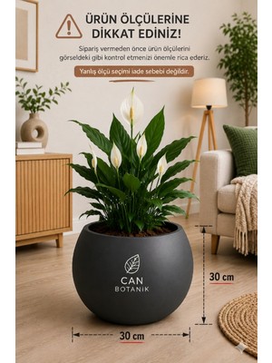 Empressco Yuvarlak Saksı Salon Saksı 30 cm Boş Saksı Plastik Çiçek Saksısı Saksı Küre Saksı Antrasit - Fiyatı, Yorumları