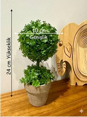 Empressco Ev ve Ofis Hediyesi Dekoratif Yapay Şimşir Ağacı - Saksılı 10X24 cm