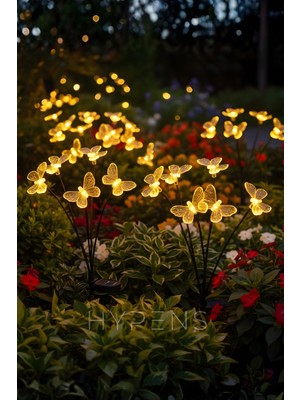 Empressco 6 LED