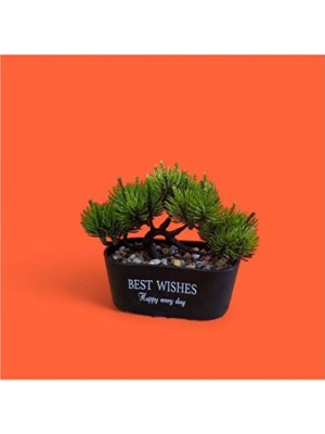 Empressco Saksılı Yapay Bonzai