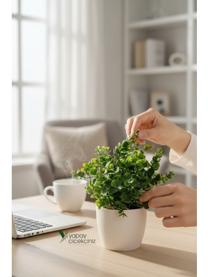 Empressco Beyaz Saksıda Yapay Baby Okaliptus - Fiyatı, Yorumları