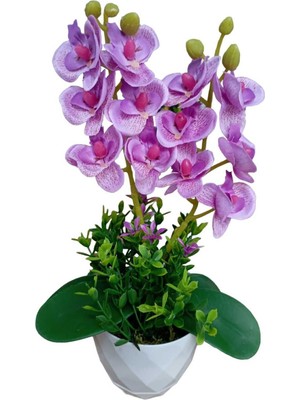 Empressco Mini Ikili Orkide Renkli Yapay Çiçek Beyaz Saksıda Dekoratif Masaüstü Hediyelik Çiçek - Fiyatı, Yorumları