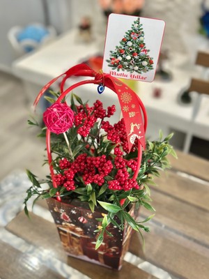Empressco Çantalı Kokina 🌺aşırı Doğal Yapay Kalıcı Ürün💯🌺 - Fiyatı, Yorumları