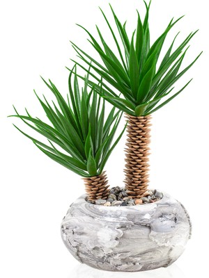 Empressco Dünya Desenli Mermer Görünümlü Saksıda Iki Dal Yapay Kaktüs Aloe Vera - Fiyatı, Yorumları