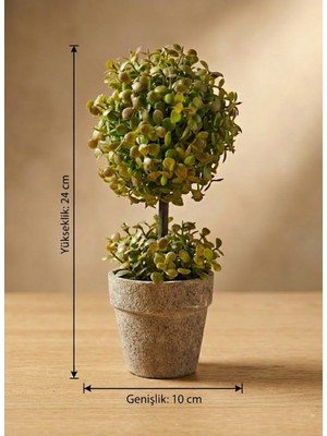 Empressco Yapay Çiçek Şimşir Esintili Mini Masa Üstü Saksılı Dekoratif Bitki 24 cm - Fiyatı, Yorumları