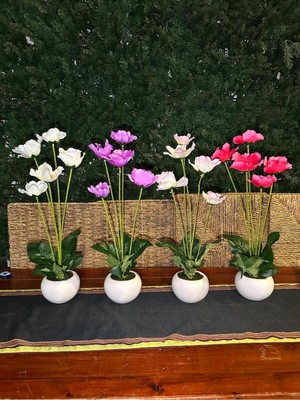 Empressco Seramik Saksıda Yapay Gelincik Beyaz Pembe - Fiyatı, Yorumları