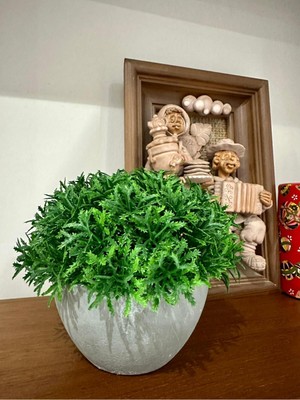 Empressco Yapay Scleranthus (Minder Çiçeği) Antrasit Saksılı Premium Dekoratif Bitki 🌿 - Fiyatı, Yorumları