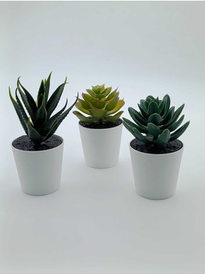 Empressco Fejka Kaktüs 3 Lü Set 6 cm Yapay Bitki Çiçek Saksılı Kaktüs - Fiyatı, Yorumları
