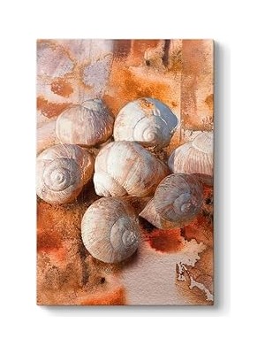Nacario Deniz Kabuğu Soyut Tablosu 50 x 75