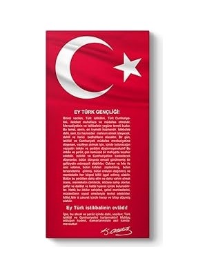 Nacario Gençliğe Hitabe Tablosu 80 x 160