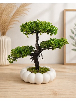 Empressco Beyaz Bubble Saksıda Yapay Bonsai Ağacı Dekoratif Saksı Çiçeği Ev Ofis Masa Üstü Bitki - Fiyatı, Yorumları