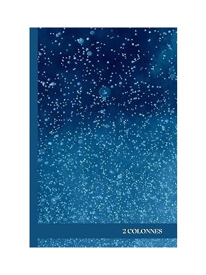 Nacario Cahier De 300 Pages 2 Colonnes: Cahier Relié À Couverture Rigide, Imprimé Petits Carreaux