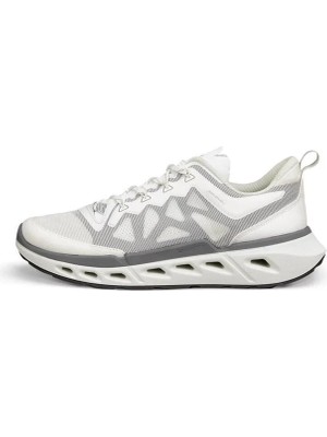 Ecco Biom 720