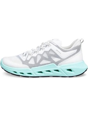 Ecco Biom 720