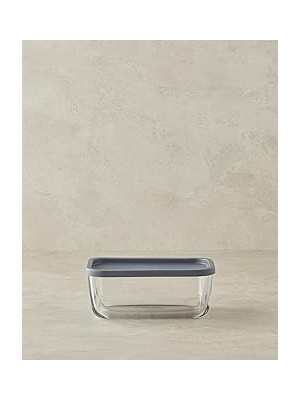 Renas Store Fresh Safe Cam Saklama Kabı 270 ml Gri
