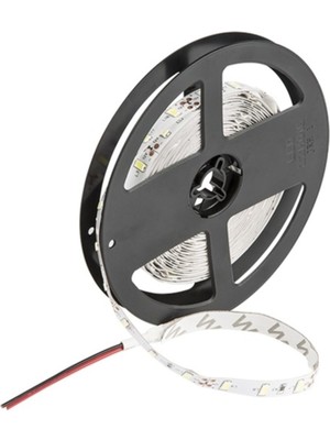 Empressco 10 Çip Iç Mekan Şerit LED 5 Metre Gün Işığı CT-4481