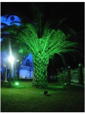 Empressco Siyah Alüminyum Döküm Kasa 10W Yeşil LED Projektör Bahçe ve Giriş