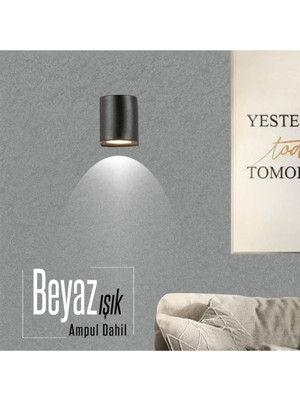 Empressco Şık Siyah Dekoratif Aplik, Beyaz Işık, Iç ve Dış Mekan Kullanımı