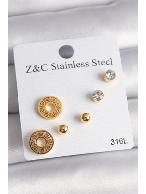 Clariss 316L Çelik Gold Renk Zirkon Taşı Labirent Model Kadın Küpe Seti