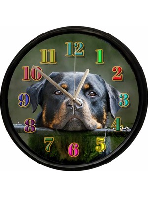 Caseras Rottweiler Köpek Tasarımlı Dekoratif Duvar Saati 28 cm Sessiz Mekanizma