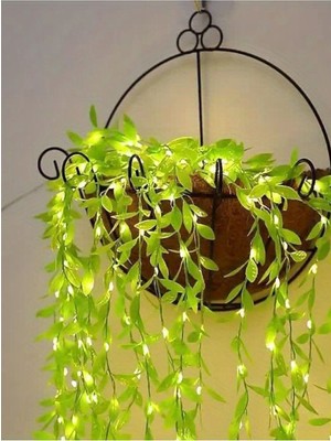 Empressco Ağlayan Söğüt Dalı ve Sarmaşık Bitki Seti, 3 M Peri LED Ile, 5 Dallı, Pilli