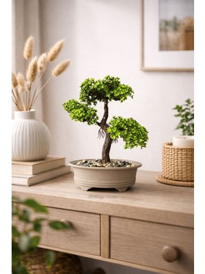 Empressco Yapay Yeşil Bonsai Ağacı, Saksılı Dekoratif Bitki, Şık ve Havalı Görünüm