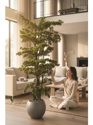 Empressco Yoğun Yapraklı Modern Küre Saksıda 180 cm Lüks Bonsai Ağacı