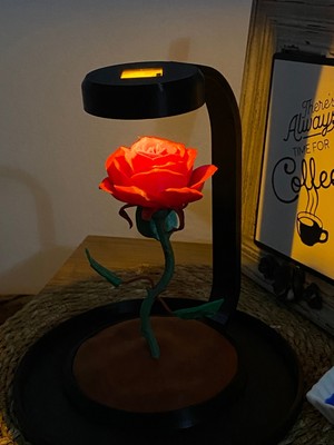 Empressco Solmayan Gül LED Gece Lambası, Şık ve Romantik Hediye Seçeneği