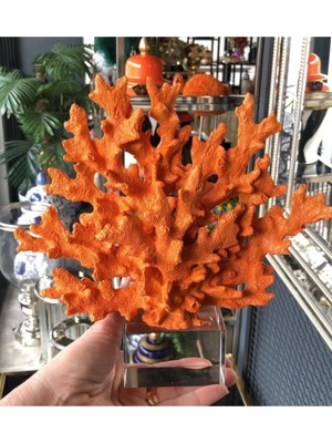 Empressco Turuncu Polyester Mercan Dekor ile Evinize Şıklık Katın