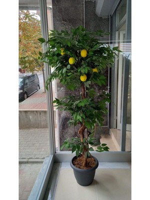 Empressco Yapay Limon Ağacı, 180 Cm, Şık Saksı ile Dekoratif Bitki